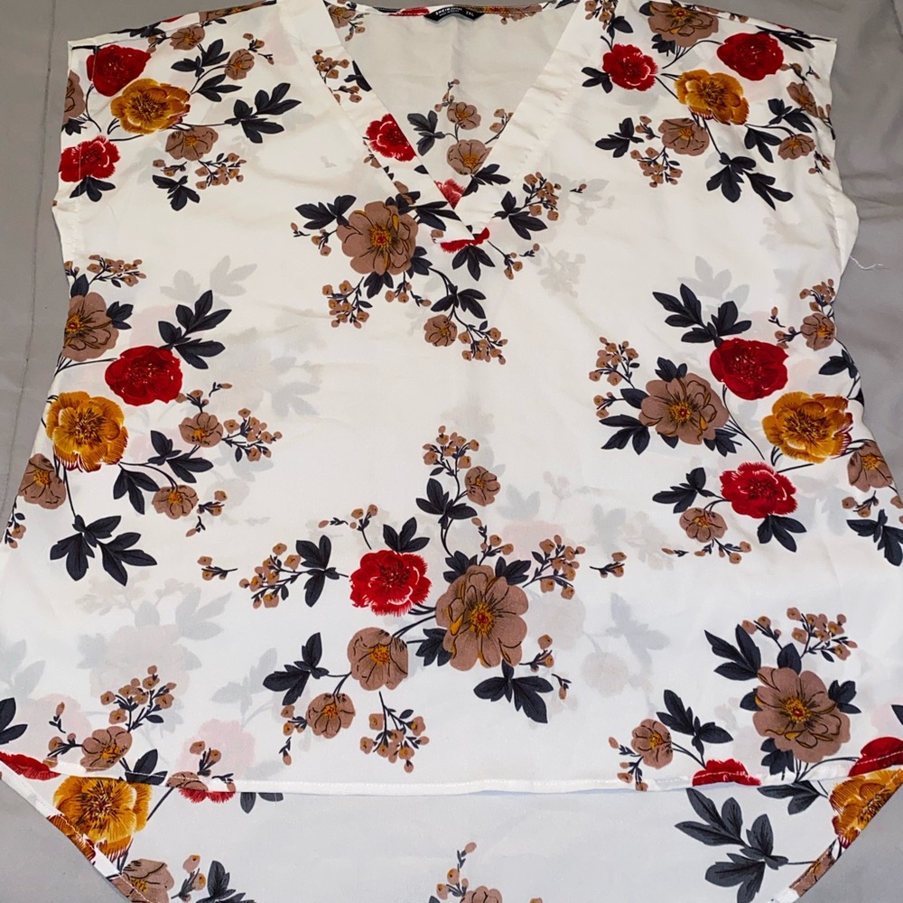 Shein Curve Blouse (2X)